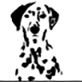 Yanchep Veterinary Hospital Favicon